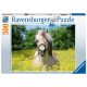 Ravensburger: Puzzle 500 db - Ló a repcemezőn