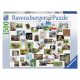 Ravensburger: Puzzle 1500 db - Vicces állatok